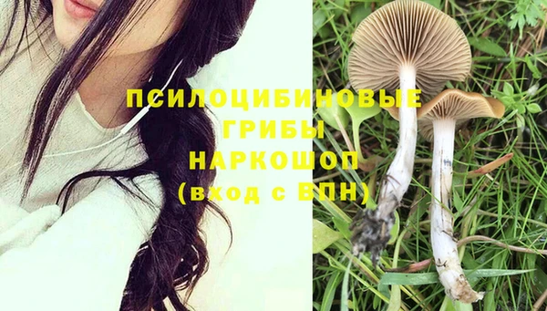 гашик Абдулино